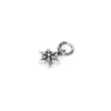 Star Charm Star Charm