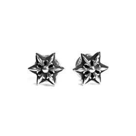 Uitgesneden star oorbellen